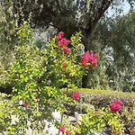 Country-lake Couette-café