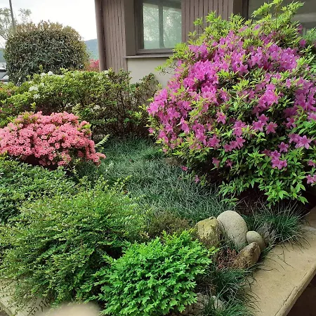 Country-lake Дормеллетто