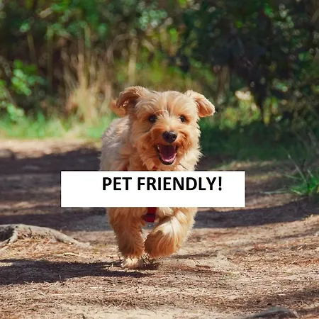 Country-lake Отель типа 