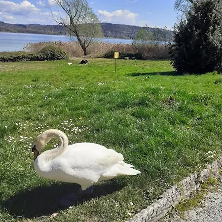 Country-lake Bed and breakfast Dormelletto