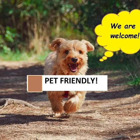 Country-lake Bed & Breakfast Dormelletto