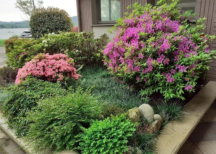 Country-lake دورميلّيتّو