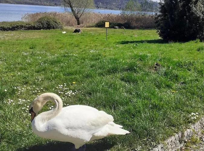 Country-lake Bed & Breakfast Dormelletto